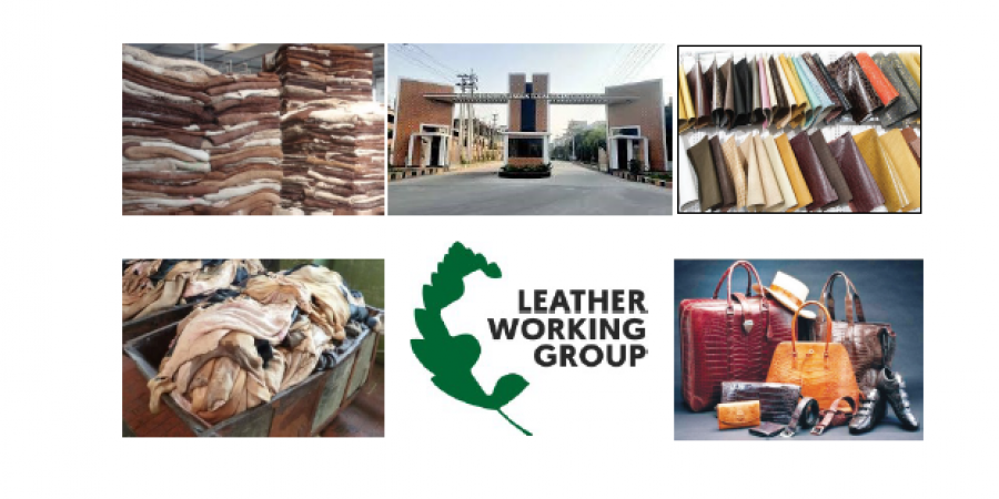 Report on tanneries for Leather Working Group (LWG) Certification
