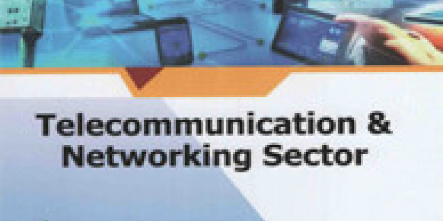 Telecommunication and Networking Sector